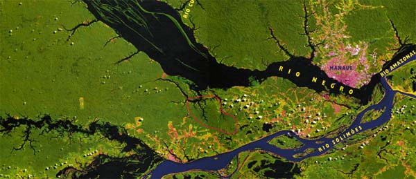 Zurck